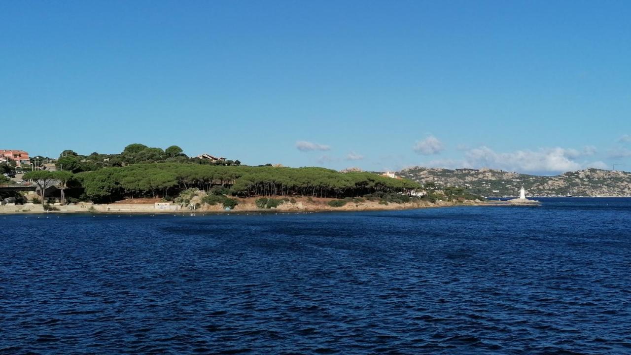 Appartamento Incantevole Con Piscina Palau Exteriér fotografie